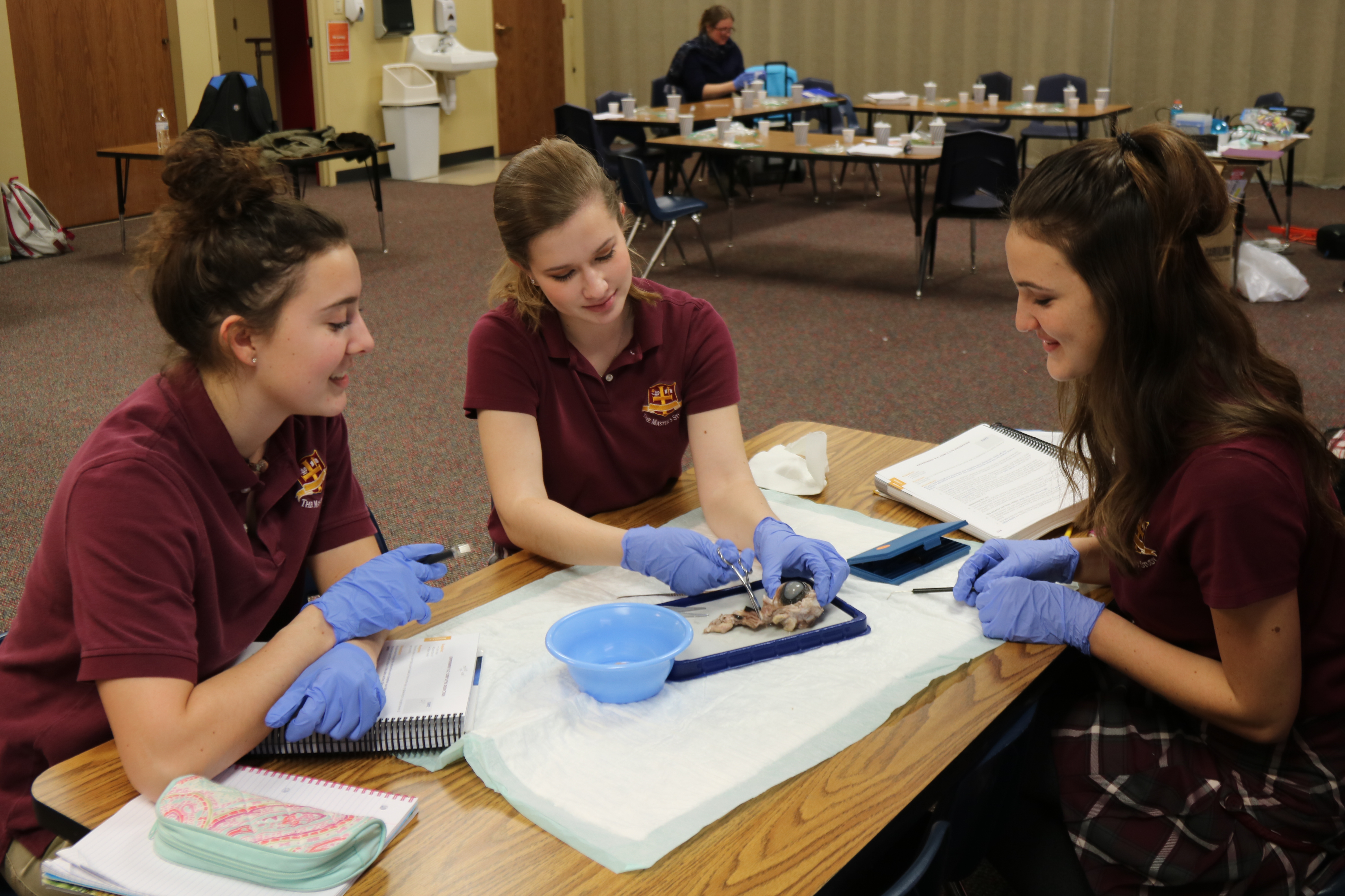 Anatomy students dissect cow eyes